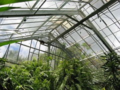 077 Kuranda Butterfly Sanctuary